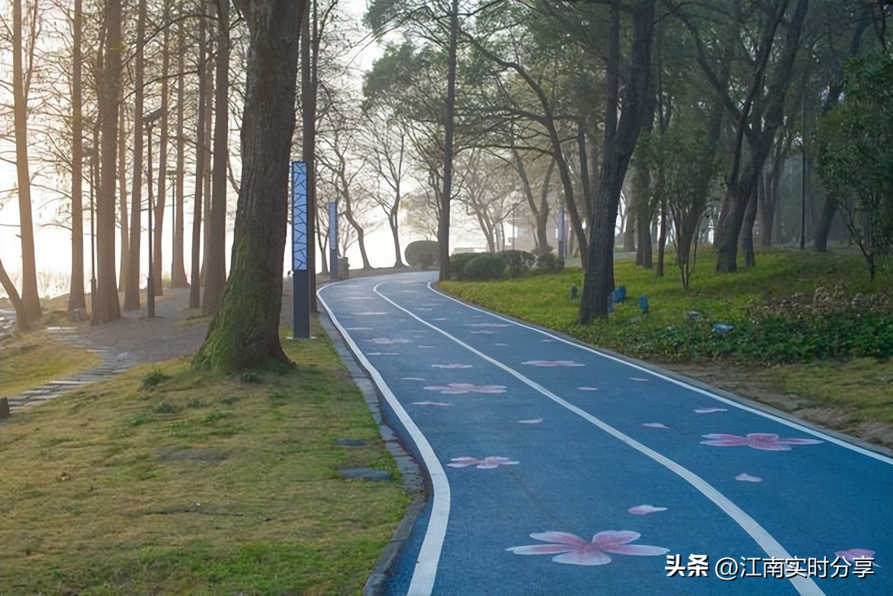 太湖鼋头渚樱花谷唯美浪漫,无锡太湖鼋头渚赏樱攻略