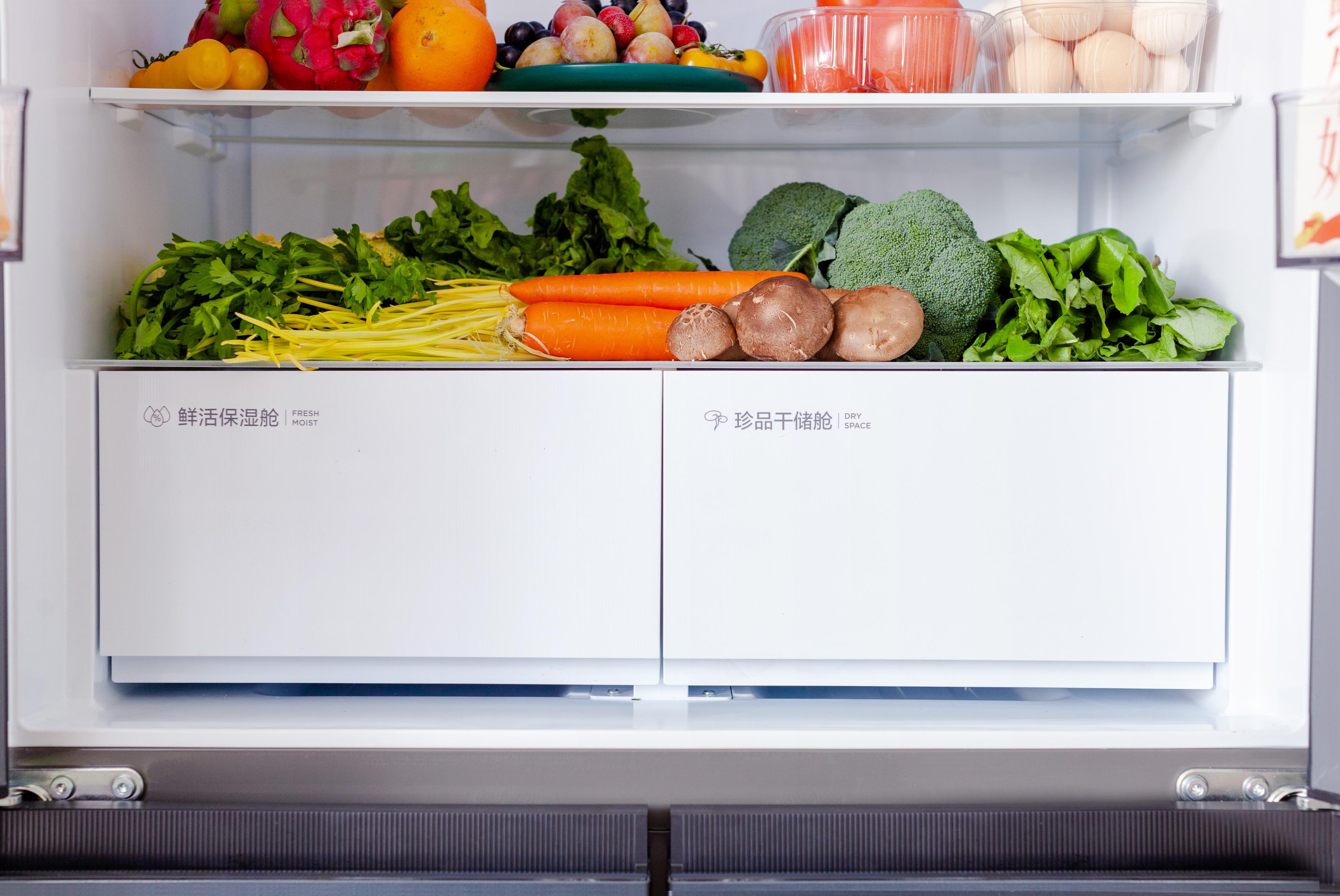 tclt9对开门冰箱评测,tcl嵌入式t9冰箱测评