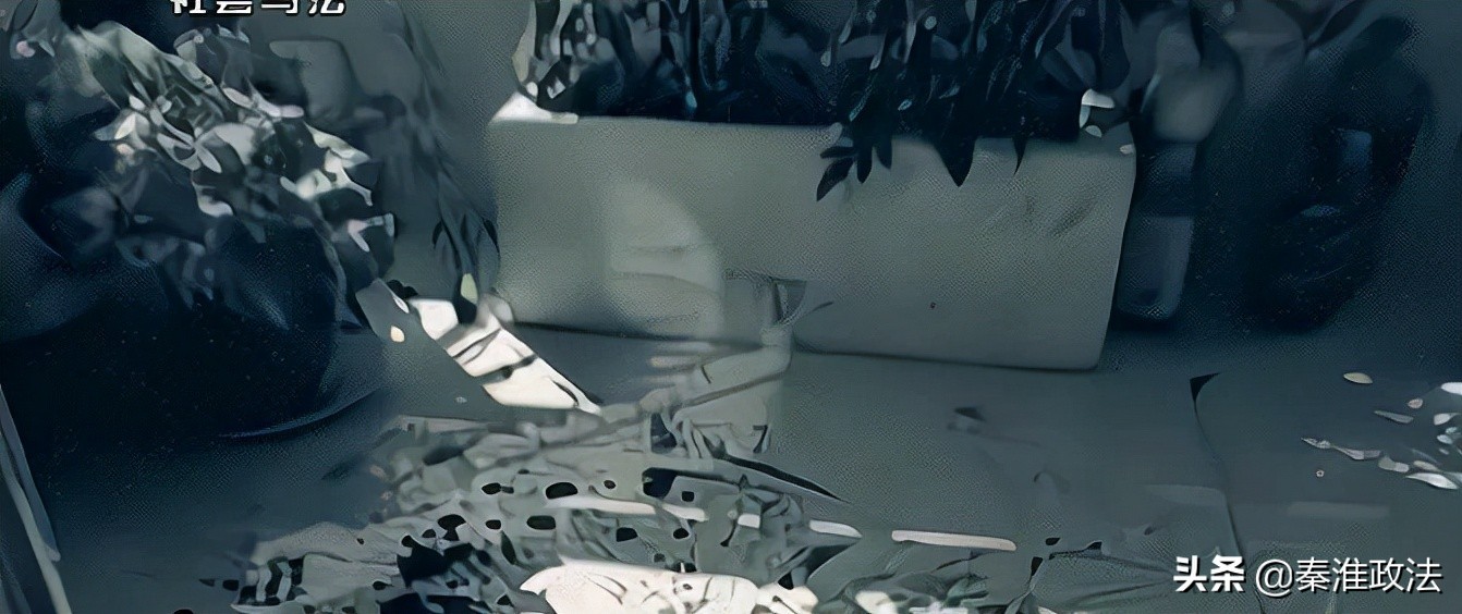 绝杀秦皇岛,秦皇岛灭门案完整版