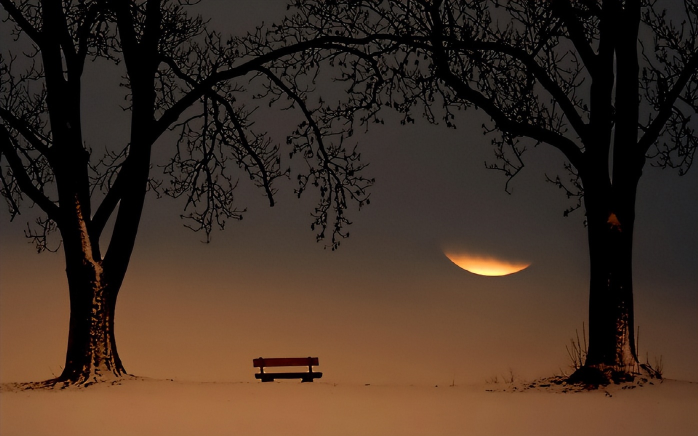 一散户耐住单吊中信证券的寂寞,才拿下17年7千万的繁华,你怎看