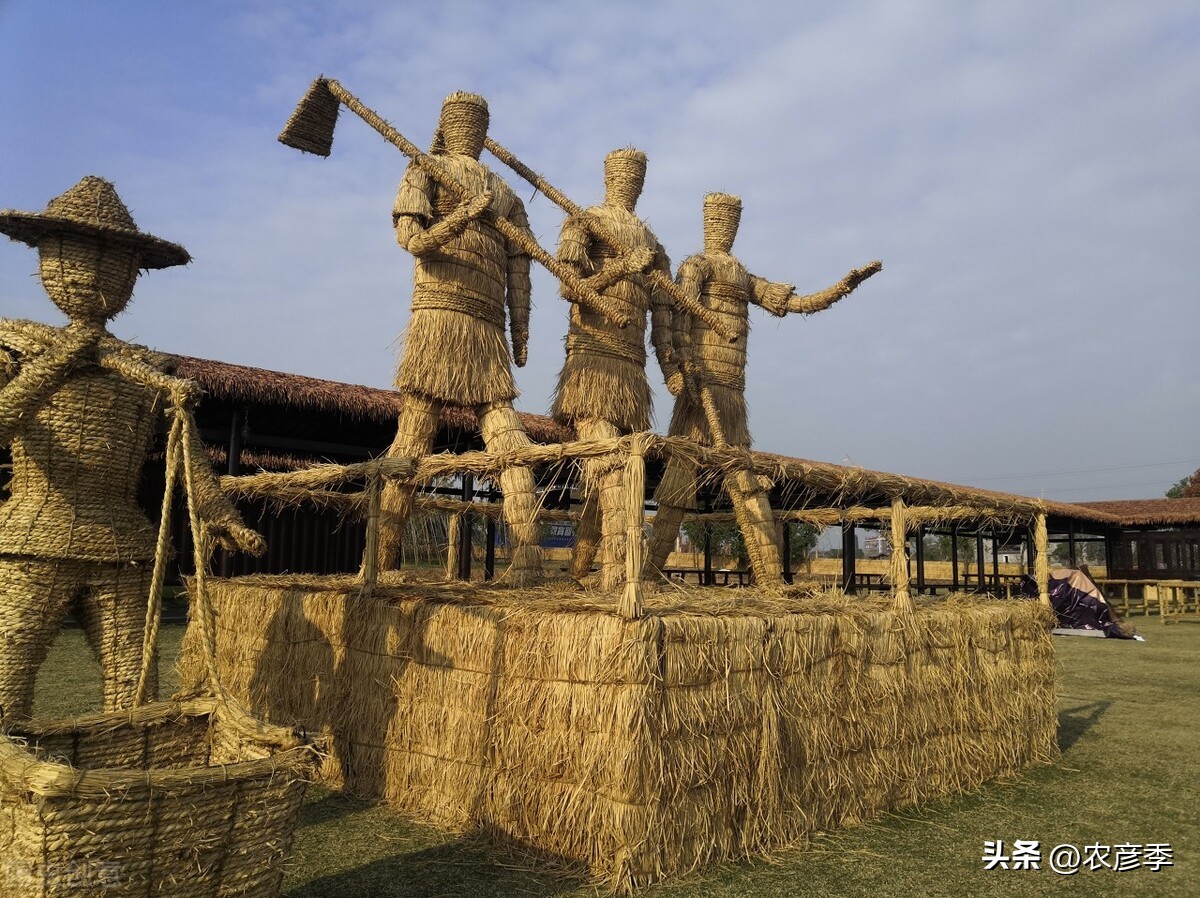 供销社为什么那么强大,供销社是怎么崛起的