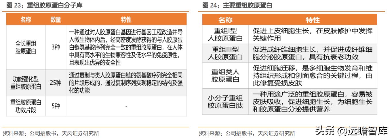 巨子生物重组胶原蛋白,巨子生物三型胶原蛋白获批