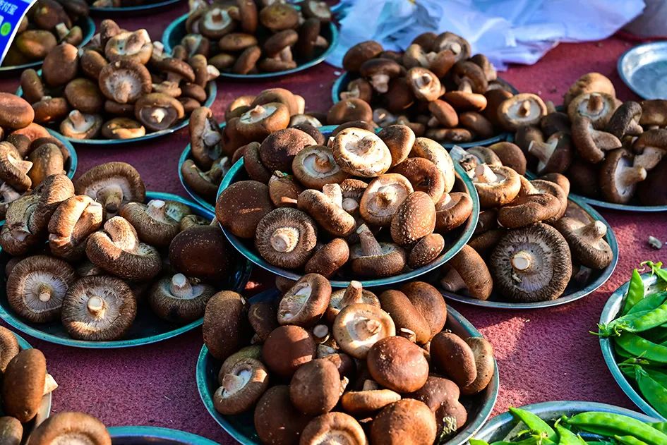 西山脚下的早市,闲逛最具人间烟火气的早市