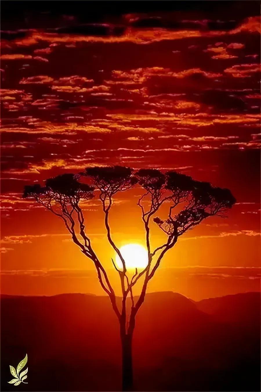 春天来了，“痴花”的您，来彩云之南做个“花吃”吧