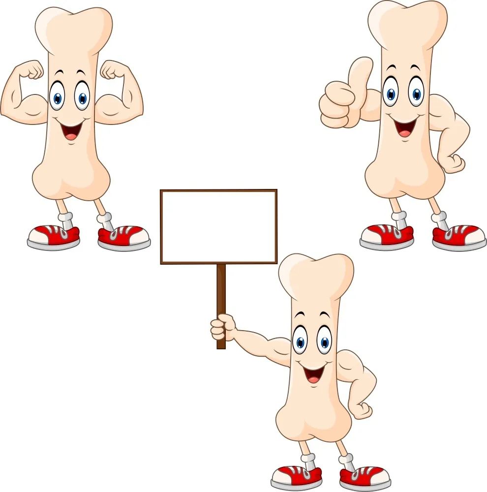 关爱骨骼健康养生,不同年龄如何保持骨骼健康