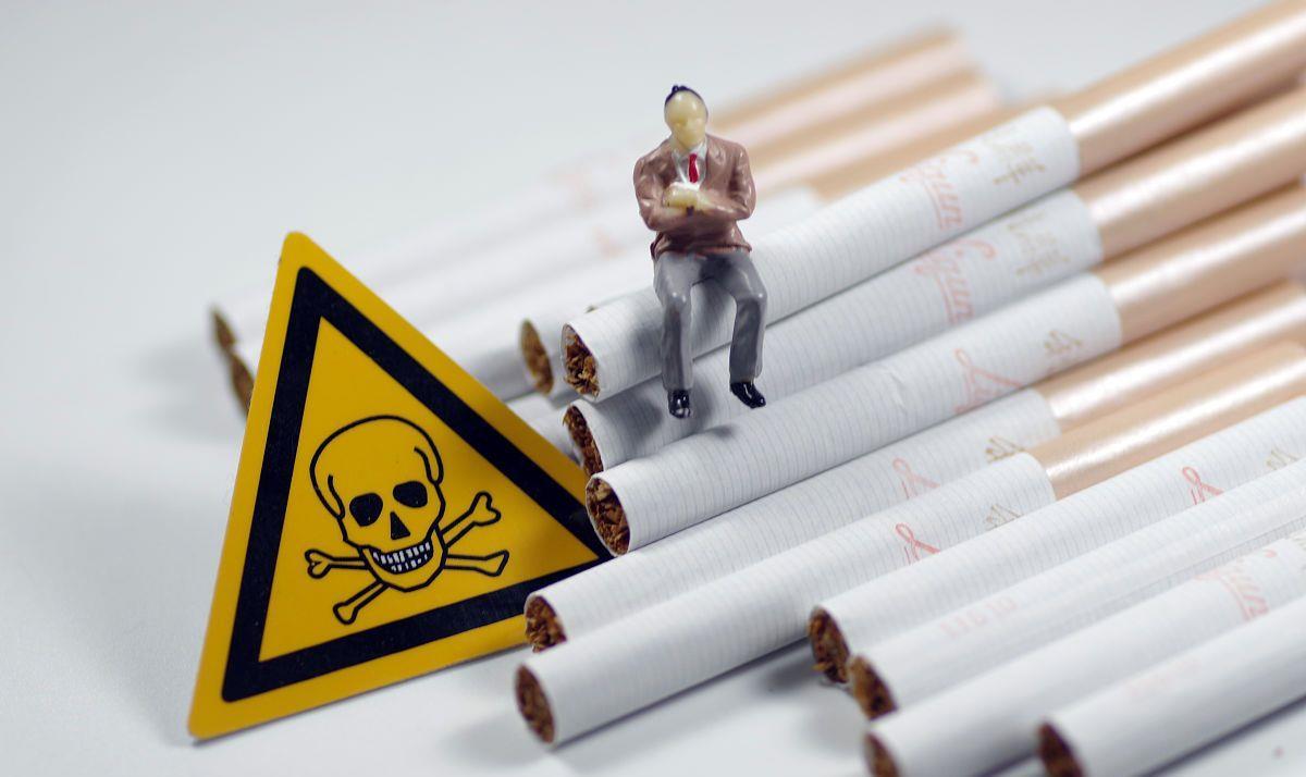 正宗的最便宜雪茄多少钱一盒,最便宜的雪茄的价格多少钱一盒