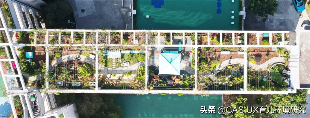 CAS儿童空间|生命花园:在校园屋顶打造感知自然的实验场