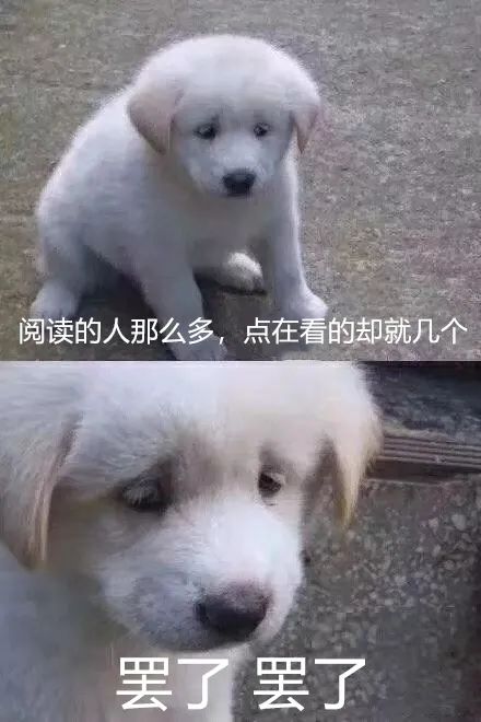 曝光被骗的聊天记录搞笑,曝光聊天记录事件