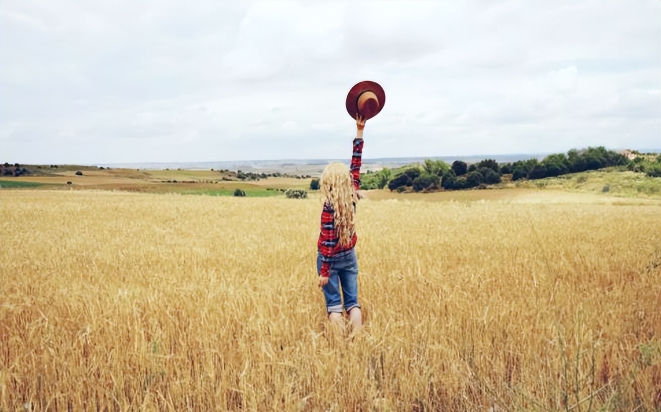 螃蟹定律里的人性,螃蟹定律足以毁掉你的人生