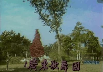 广东有百分之几人看春晚,广东人看春晚的多不多