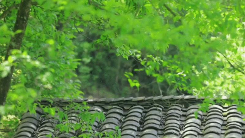 人生就是一场历练与感悟,人生就是一种感受一种历练