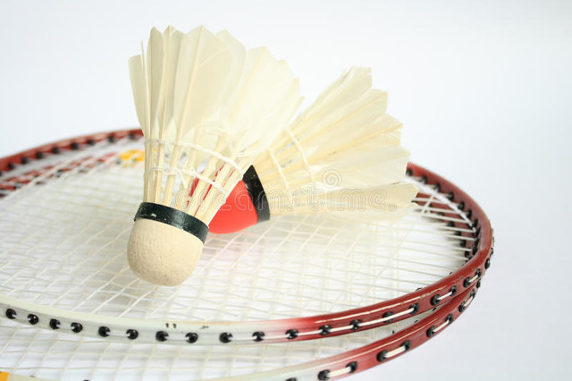 李宁ws72羽毛球拍,李宁公认手感最好十大羽毛球拍