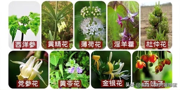 为什么超市的蜂蜜不能买,现在超市里蜂蜜那么便宜是真的吗