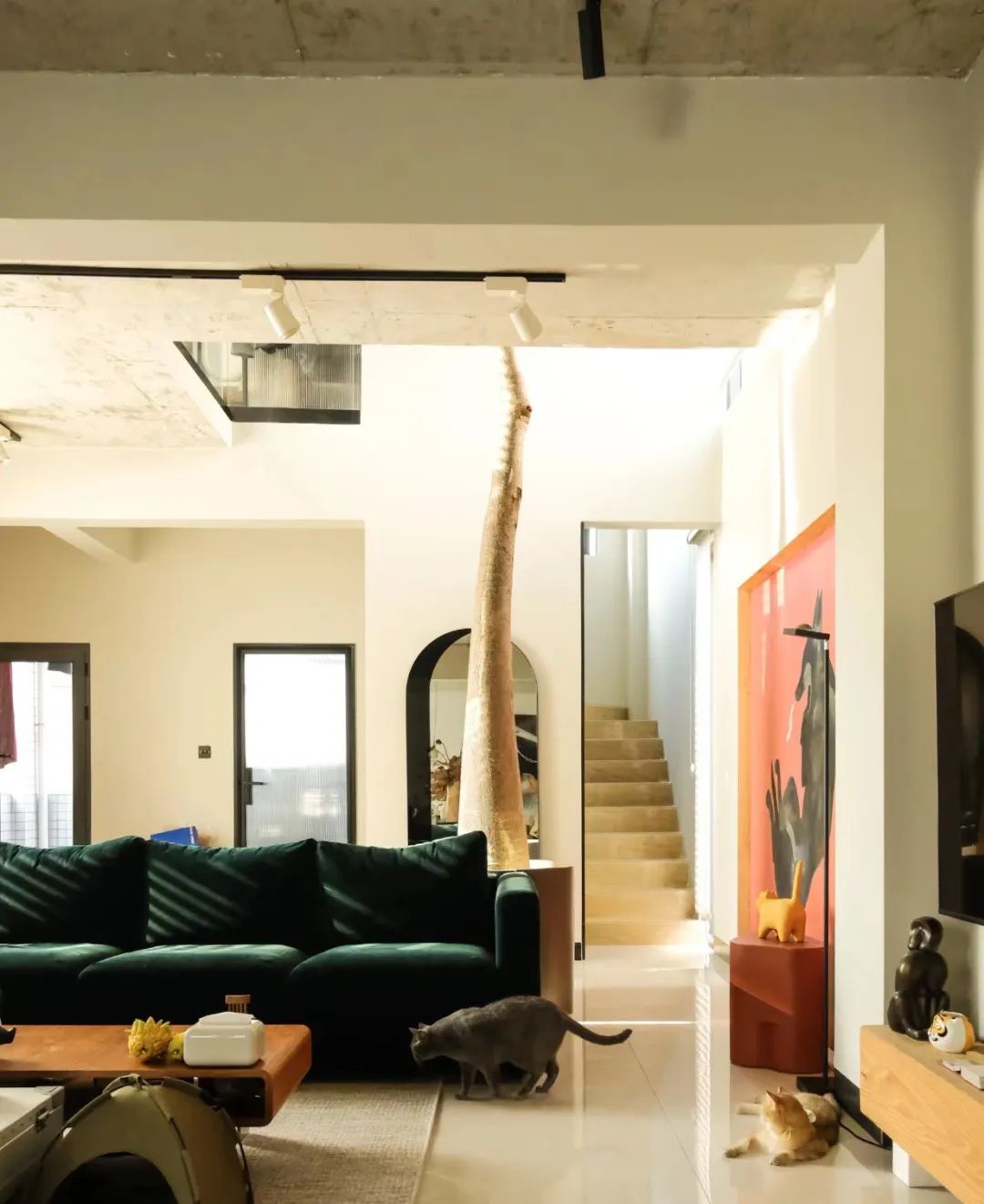 四个人回老家改造老房子,90后回农村建房子视频