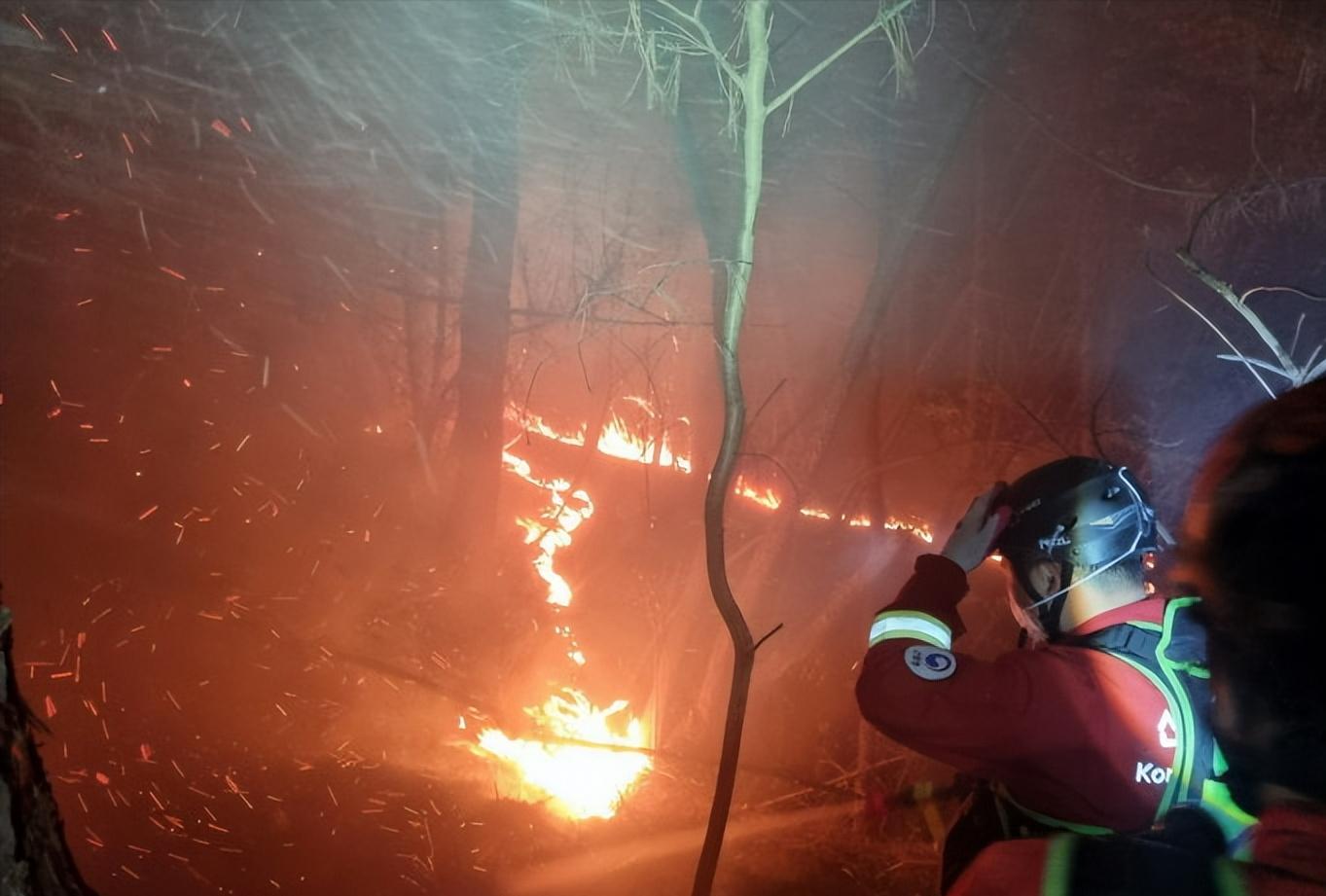 火海被烧,韩国山火过火面积