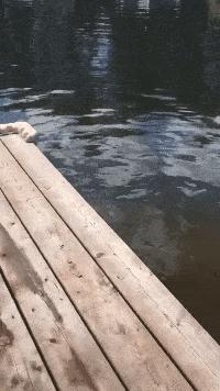 地铁遇到最美的阿姨抖音,坐地铁遇到最漂亮的阿姨