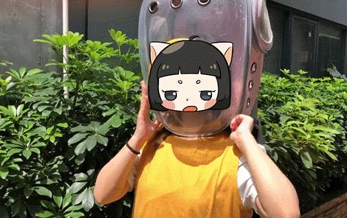 害死猫的网红饰品,盘点那些被人害死的网红猫