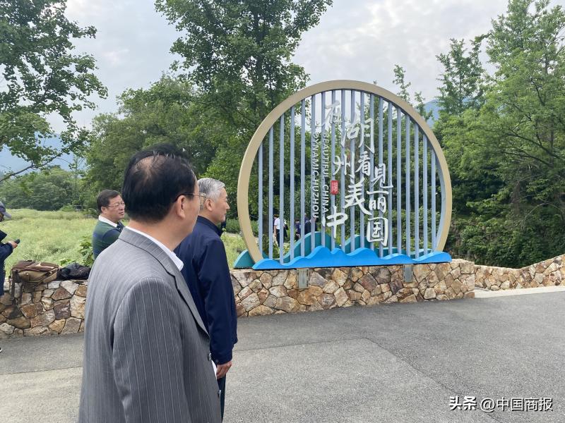 中药饮片、磁疗产品……浙江安吉处处都是“绿色经济”