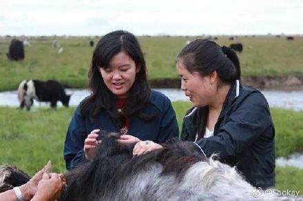 台湾女富二代,台湾富二代女孩