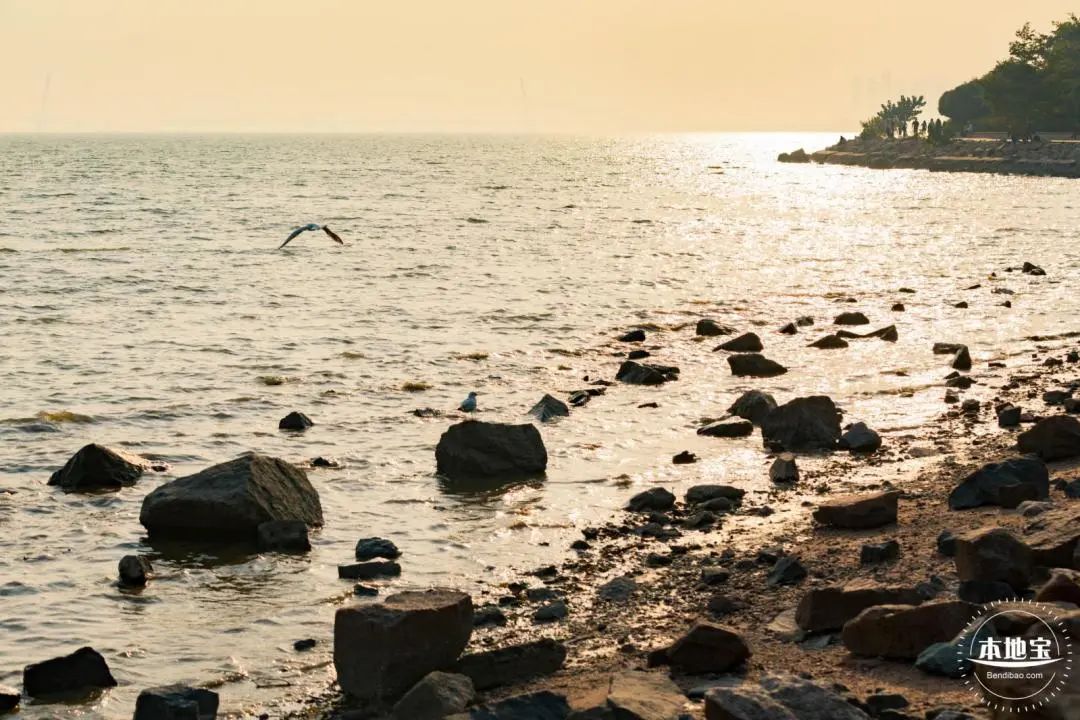 深圳免费好玩旅游景点排行榜前十,深圳十大好玩的景点推荐