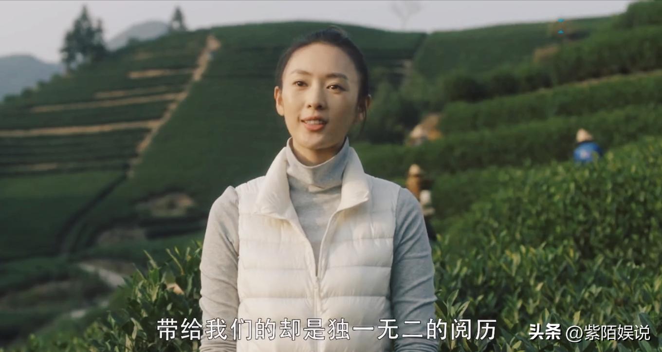 三十而已许幻山背叛顾佳下场太惨,三十而已为什么许幻山和顾佳离婚