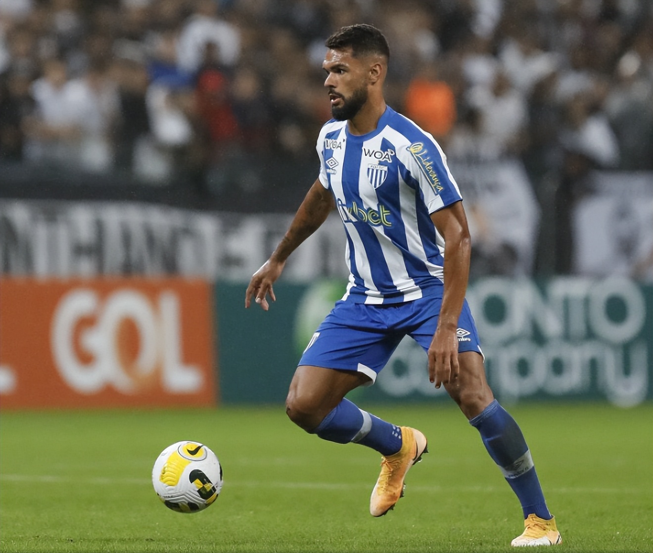 巴西甲圣保罗对博塔弗戈直播,巴西乙组联赛阿瓦伊sc直播数据