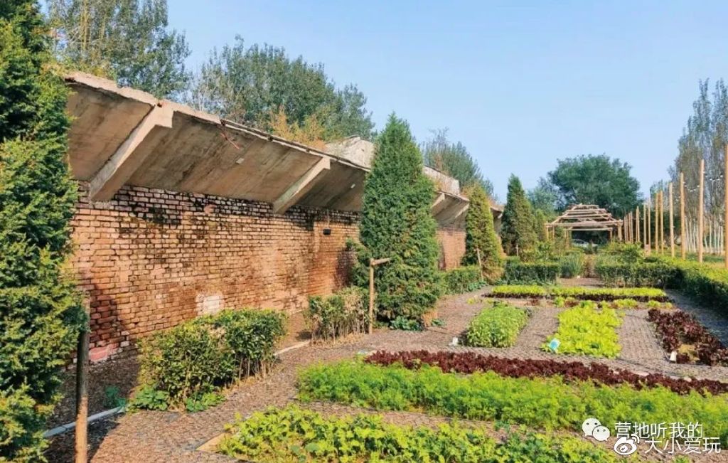 北京适合孩子玩的农场,一年四季都可以去的亲子农场