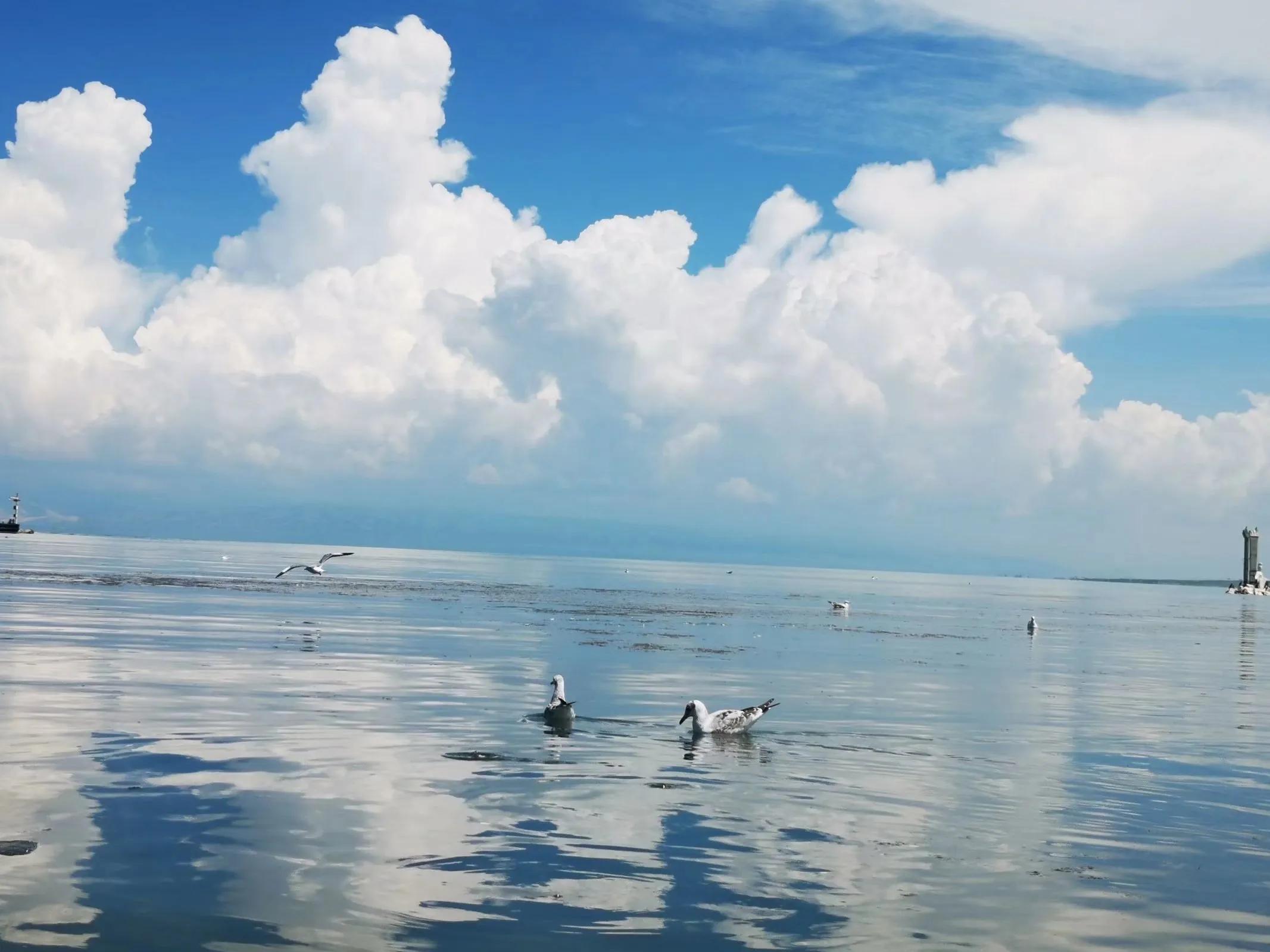 青海跟团游为什么不包餐,什么人不建议去青海旅游