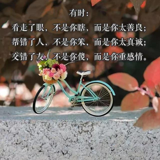 我都不知道该怎么感谢你,抖音歌曲不知应该怎样感谢你