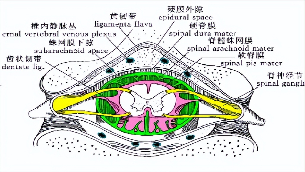 分娩镇痛该不该选择,分娩阵痛碰到的问题