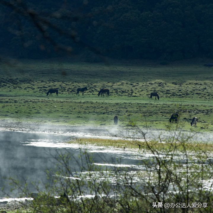 推荐6个职场充电网站,职场超级实用的网站平台