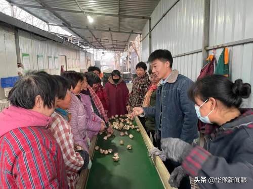 抓党建促产业振兴思路,嵩县党建建设