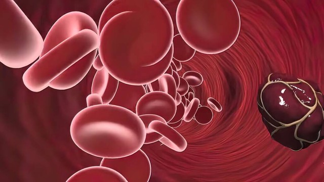 人老了怎么抗衰,人老了身体机能衰退怎么办