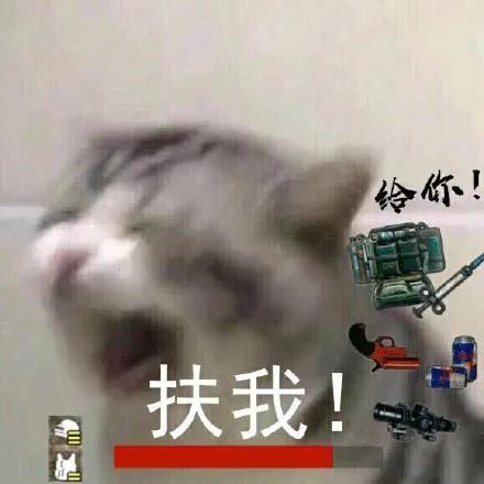 你知道什么是青春吗原版视频,你知道什么是青春吗完整版