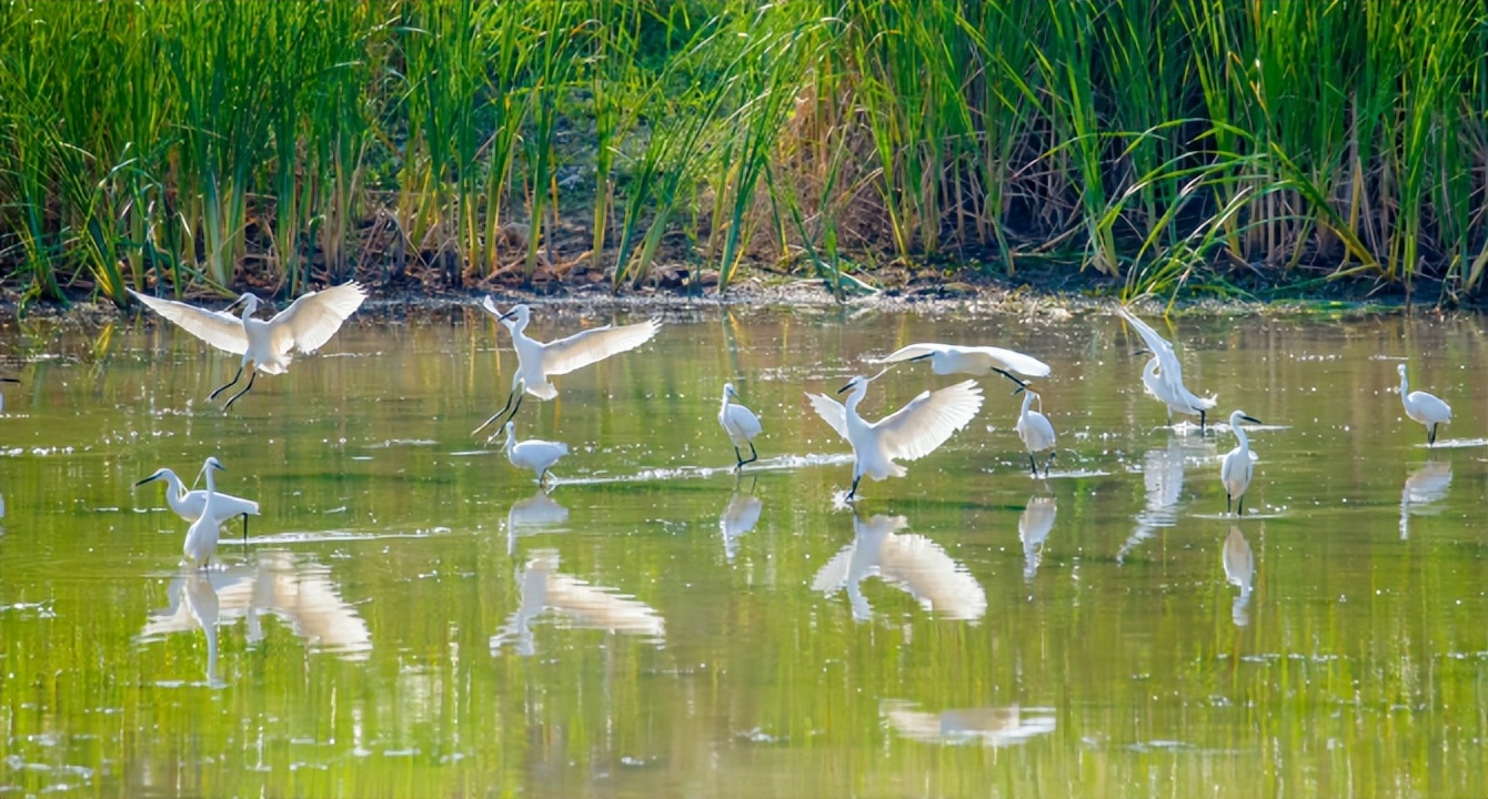 济南玉符河哪一段最好玩,济南旅游防暑攻略必去景点