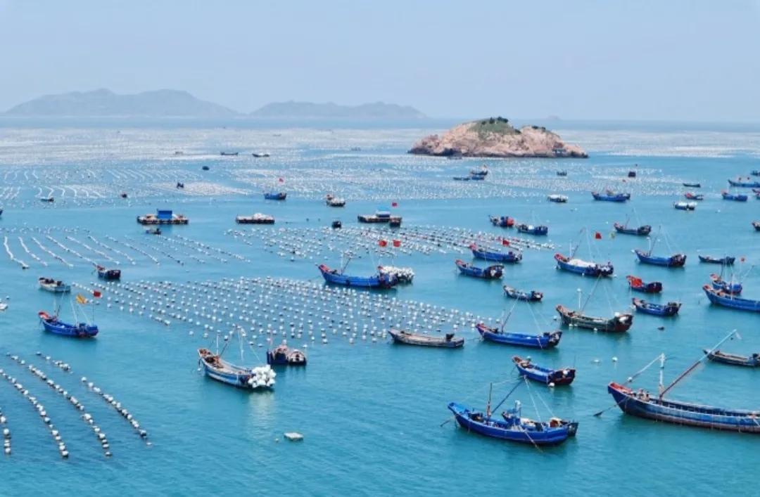 枸杞岛旅游攻略民宿费用 (枸杞岛亲子游攻略)