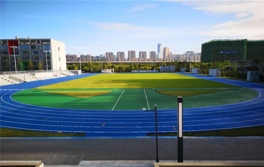 国外专业足球场天然草种植养护,足球场真草坪怎么养护