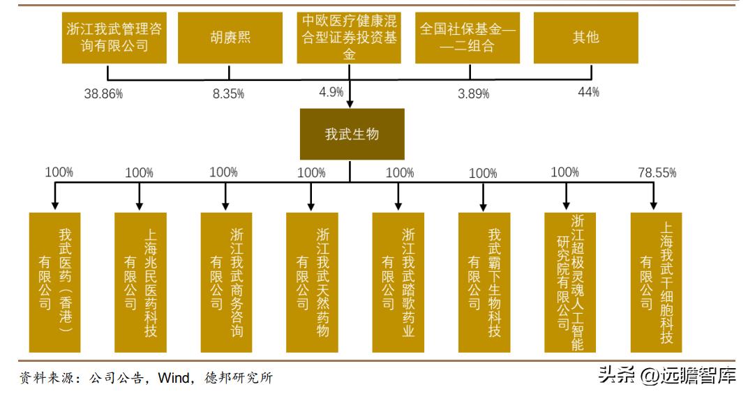 脱敏治疗龙头公司,我武生物脱敏治疗效果怎么样