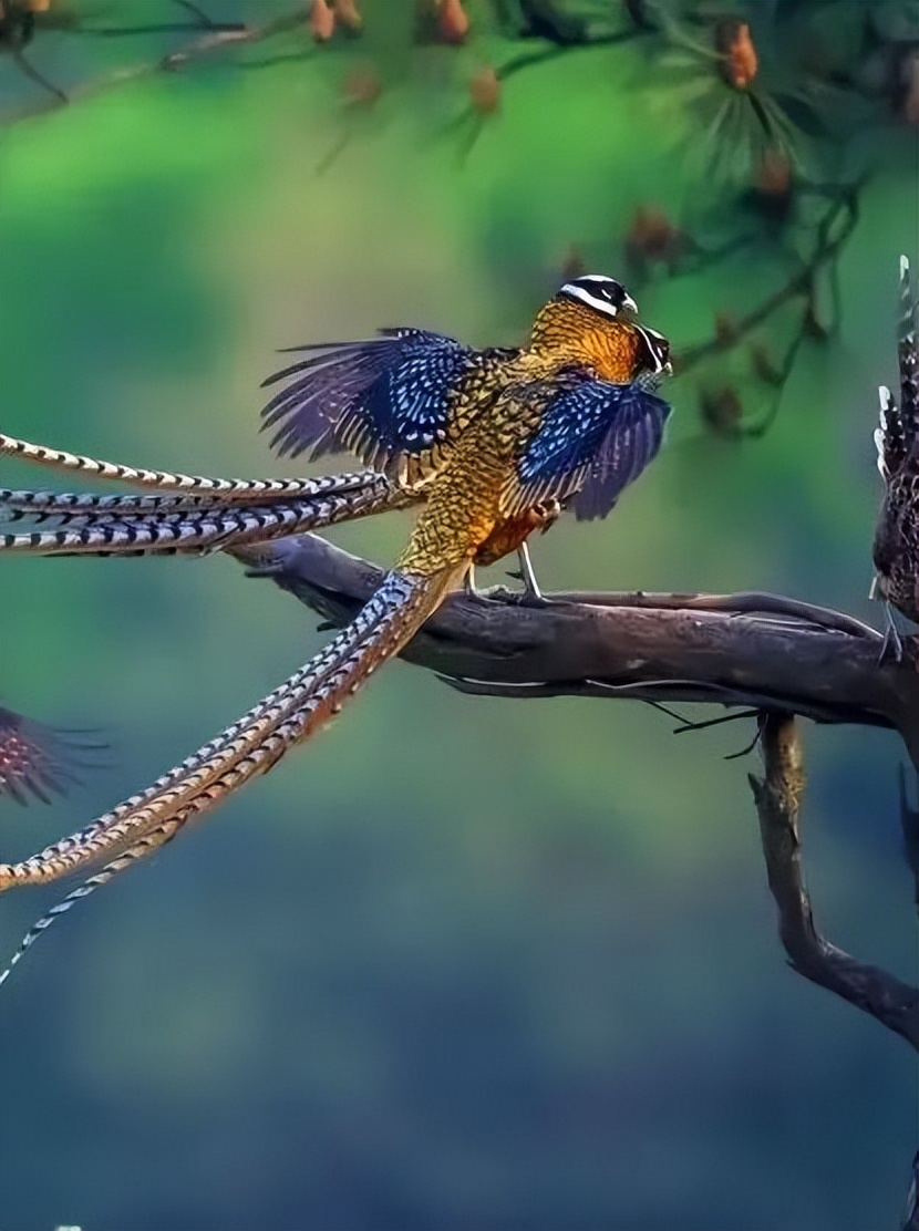 罗山一日游景点大全,信阳罗山一日游攻略