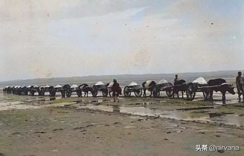 抗日战争女杰,抗日战场女司令