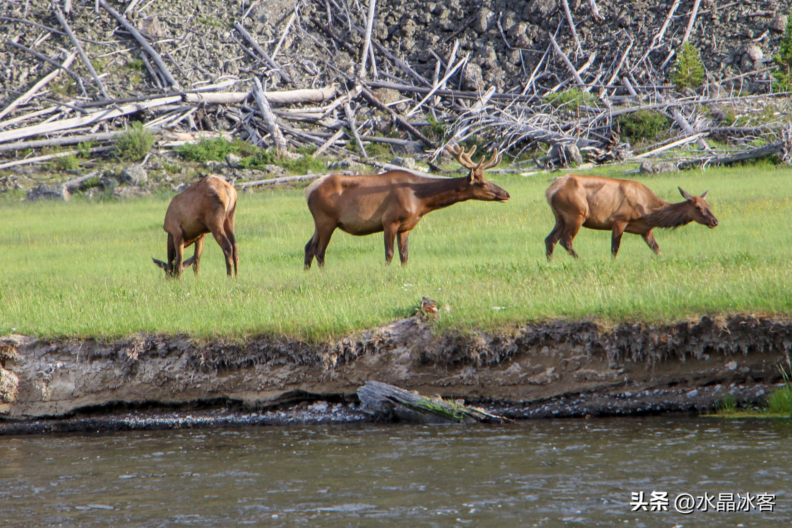 美国西部四日游最佳路线,黄石国家公园拉斯维加斯