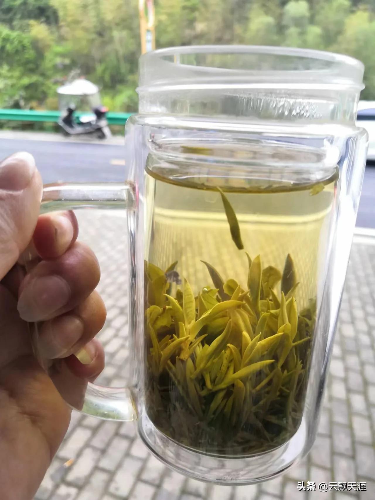 为何外地人一般很难买到正宗的富溪“黄山毛峰”