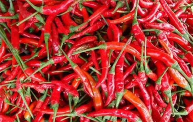新鲜辣椒如何储存不掉秤,鲜辣椒的长久储存最有效的方法