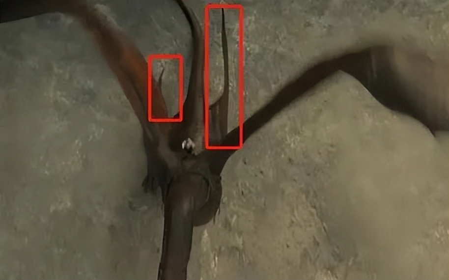 尺度神剧口碑回升8.8，死抓反转终极密码，观众：完全戳中爽点