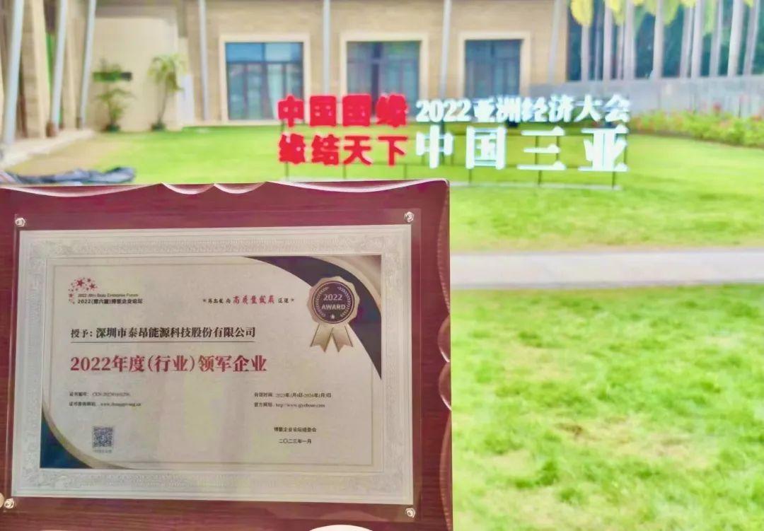 实力加冕：泰昂能源荣膺博鳌论坛2022年度行业领军奖