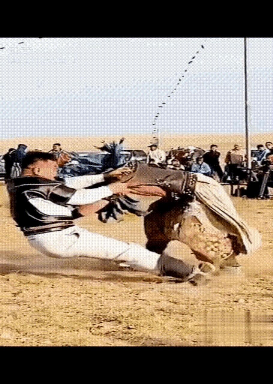 搏克教学视频,搏克绝招