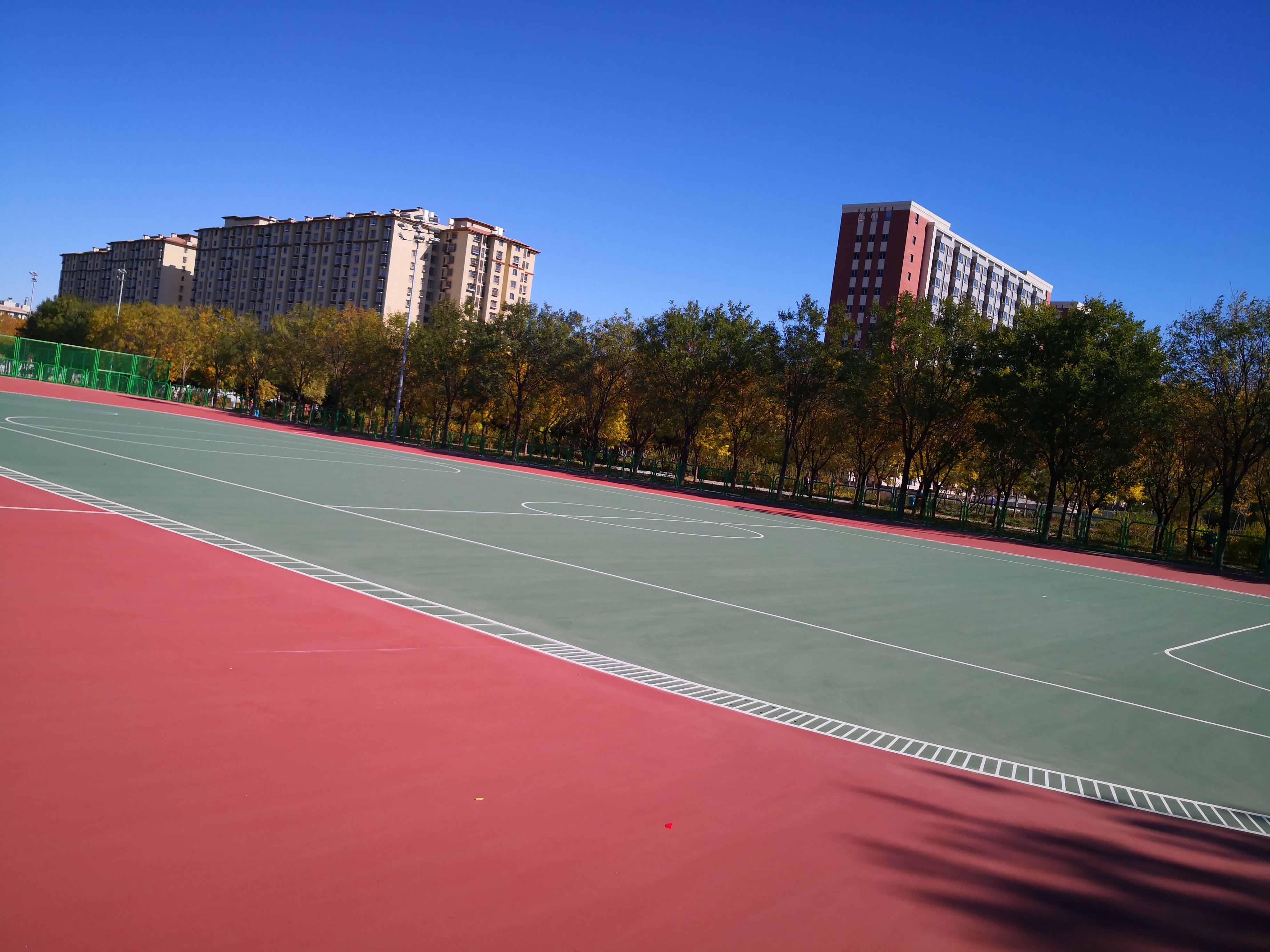 速度轮滑跑道尺寸,标准速度轮滑场