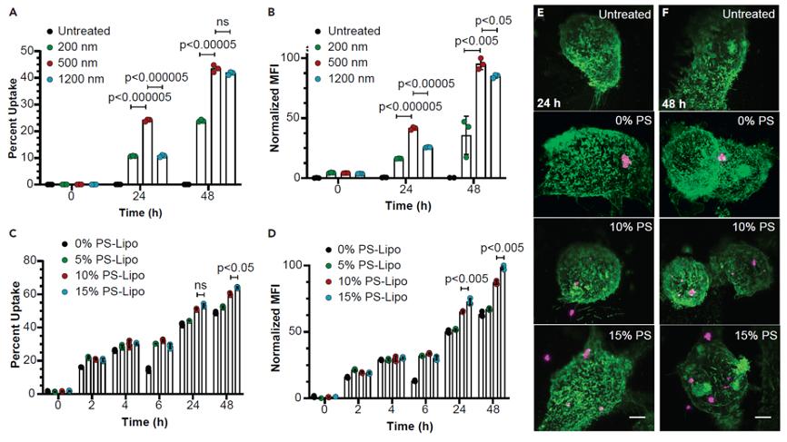 3i晶格光片显微镜助力新冠治疗纳米药物开发