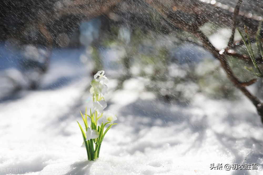 李白的哪首古诗最撩人,李白思乡的诗句经典