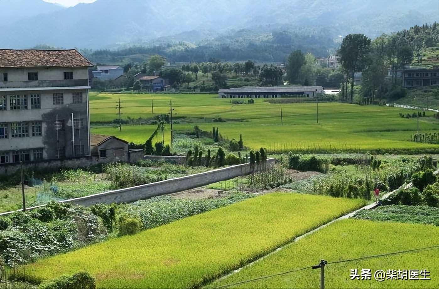 国医大师治尿频尿急,国医大师治前列腺尿频尿急